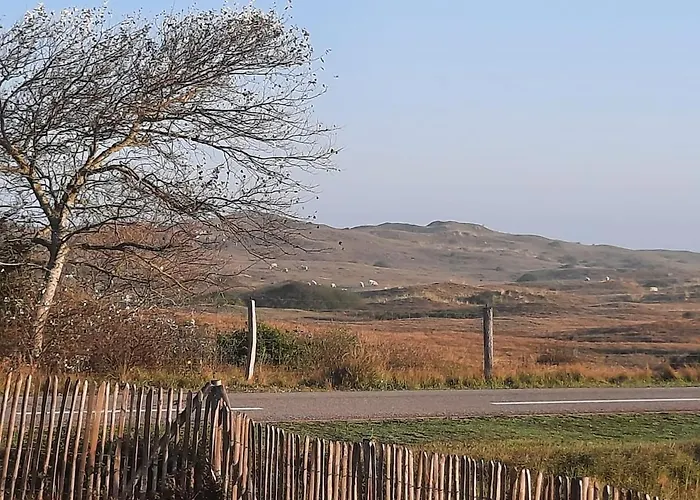 Villa La Maison De La *